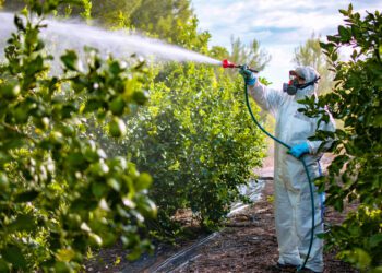 EPA suspends use of weedkiller linked to health risks for fetuses