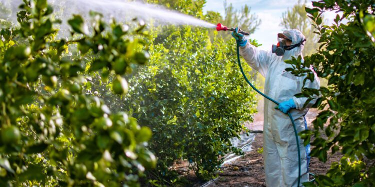 EPA suspends use of weedkiller linked to health risks for fetuses - CEO North America EPA suspends use of weedkiller linked to health risks for fetuses