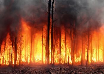 EPA’s Research Efforts to Protect Public and Environmental Health from Wildland Fire Smoke