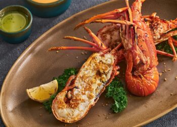 Celebrate National Lobster Day with Maine’s Iconic Fishery