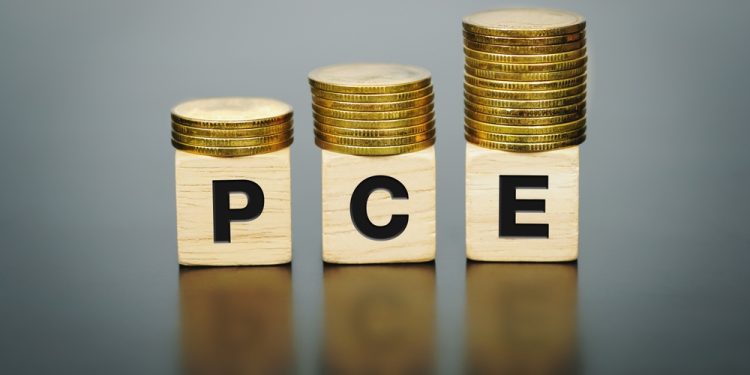 Personal consumption expenditures rose across all fifty states and DC in 2023 - CEO North America Personal consumption expenditures rose across all fifty states and DC in 2023