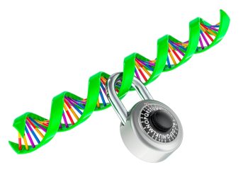 AMP v. Myriad: the fight to take back our genes
