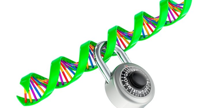 AMP v. Myriad: the fight to take back our genes