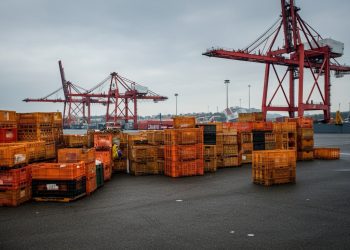 East Coast dockworkers go on strike