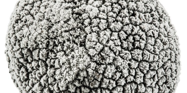 Use of frozen truffles - CEO North America Use of frozen truffles