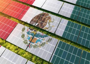 Significance of the World Bank/IMF Annual Meetings for Mexico’s Environmental Agenda