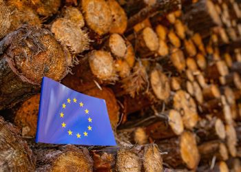 Why Trump might challenge Europe’s deforestation regulation