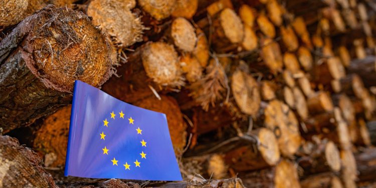 Why Trump might challenge Europe’s deforestation regulation - CEO North America Why Trump might challenge Europe’s deforestation regulation