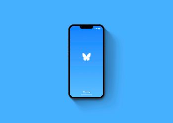 Bluesky’s user base has doubled in the past 90 days. Is it a mass exodus from X?