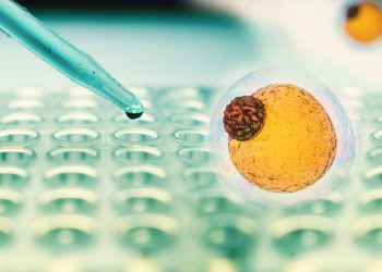 Fat Cells Retain a ‘Memory’ of Obesity, Making It Hard to Lose Weight and Keep It Off, Study Suggests