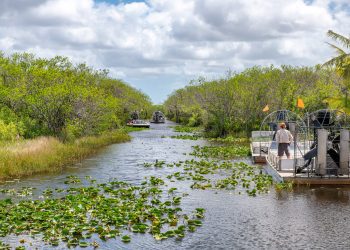 In Florida, a race is on to save the Everglades and protect a key source of drinking water