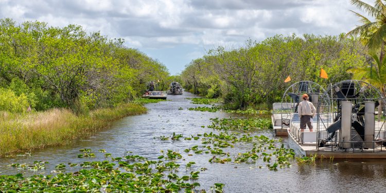In Florida, a race is on to save the Everglades and protect a key source of drinking water - CEO North America In Florida, a race is on to save the Everglades and protect a key source of drinking water