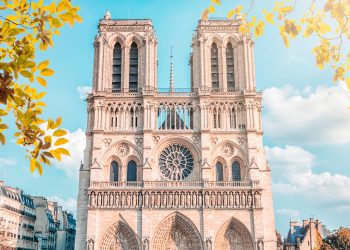 Notre-Dame Reopens: Here’s What to Know