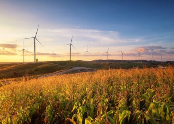 Settling the Debate on Whether Green Investing Pays ‌‌