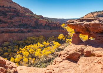 Trump administration will consider redrawing boundaries of national monuments as part of energy push