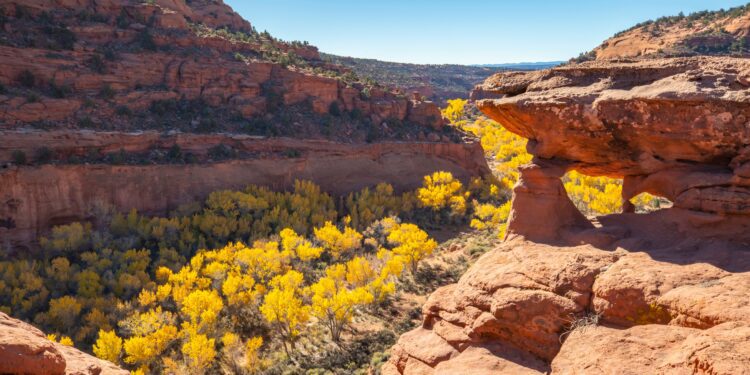 Trump administration will consider redrawing boundaries of national monuments as part of energy push