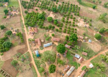 Making Impact Investing Work for System Resilience—and Investor Profits‌