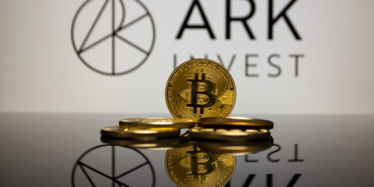 Cathie Wood cuts Ark's stake in Meta shares - CEO North America Cathie Wood cuts Ark’s stake in Meta shares