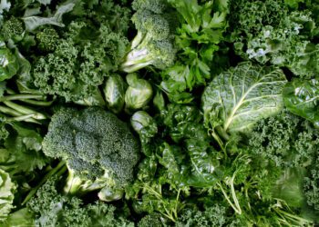 This diet can protect your brain from Alzheimer's even if started later in life, new study suggests - CEO North America This diet can protect your brain from Alzheimer’s even if started later in life, new study suggests