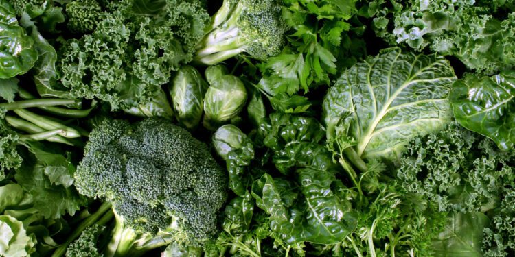 This diet can protect your brain from Alzheimer's even if started later in life, new study suggests - CEO North America This diet can protect your brain from Alzheimer’s even if started later in life, new study suggests