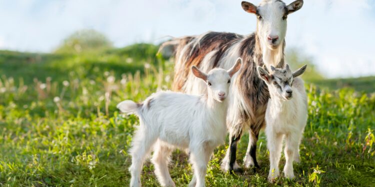 Sustainability sells, no kidding