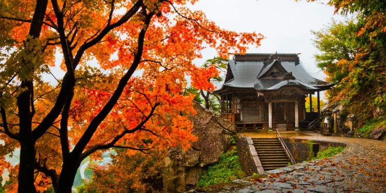 An Eater’s Guide to Tōhoku, Japan’s Capital of Sake, Wagyu, and Sea Pineapples