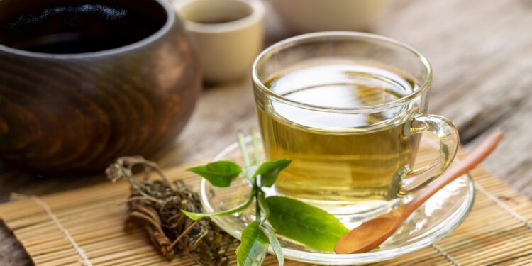 Drinking green tea is a healthy habit - CEO North America Drinking green tea is a healthy habit