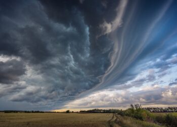 Extreme weather caused by climate change is raising food prices worldwide, study says