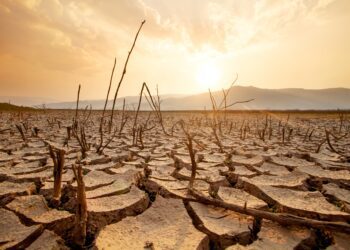 Drought: What you need to know about this growing global risk - CEO North America Drought: What you need to know about this growing global risk
