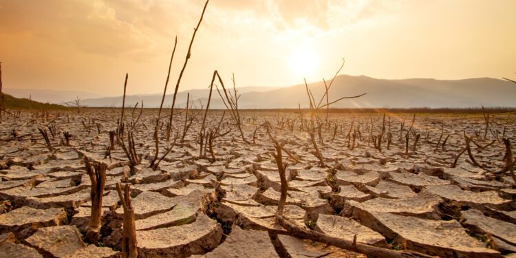 Drought: What you need to know about this growing global risk - CEO North America Drought: What you need to know about this growing global risk