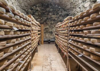 Whey to go: Is cheese the new reason to travel? - CEO North America Whey to go: Is cheese the new reason to travel?
