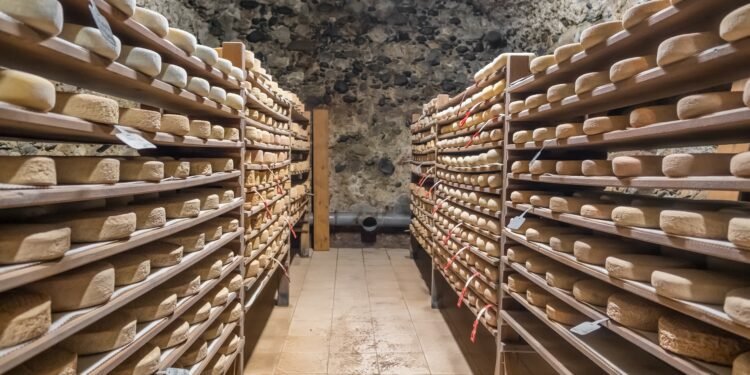 Whey to go: Is cheese the new reason to travel? - CEO North America Whey to go: Is cheese the new reason to travel?