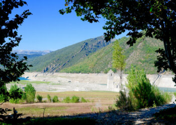 Thirsty AI mega projects raise alarm in some of Europe’s driest regions - CEO North America Thirsty AI mega projects raise alarm in some of Europe’s driest regions