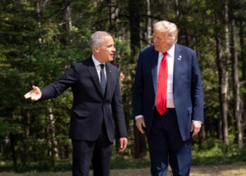 Trump halts trade negotiations with Canada - CEO North America Trump halts trade negotiations with Canada