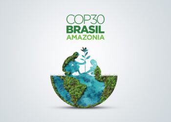 New climate plans to start cutting global emissions, U.N. says - CEO North America New climate plans to start cutting global emissions, U.N. says