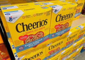 General Mills CEO reaffirms transformation strategy - CEO North America General Mills CEO reaffirms transformation strategy