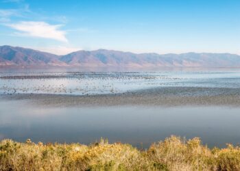 Trump promises to work with Utah to make its salt lake ‘great again’