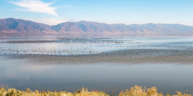 Trump promises to work with Utah to make its salt lake ‘great again’