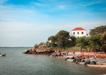 How one country rebuilt its food culture after decades of war