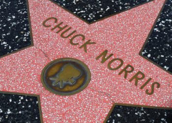 Ode to Chuck Norris
