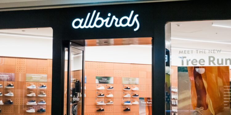 Shoe retailer Allbirds makes pivot to AI