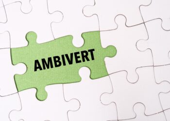 Workspace chameleons: why ambiverts make more successful leaders than extroverts