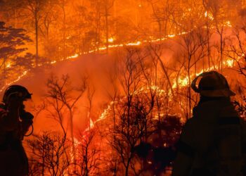 What previous Super El Niños can tell us about the next one