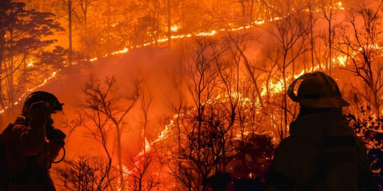 What previous Super El Niños can tell us about the next one