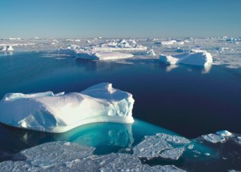 Greenhushing is killing us: why companies must break their silence on climate change