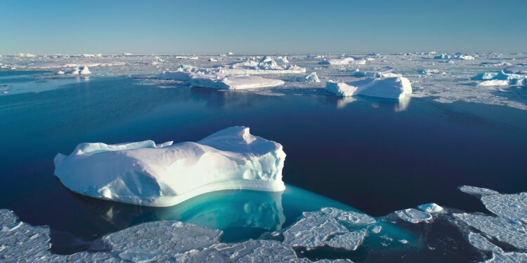Greenhushing is killing us: why companies must break their silence on climate change