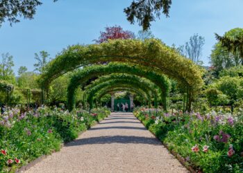 Crushing Heat Waves Threaten Monet’s Gardens in Giverny