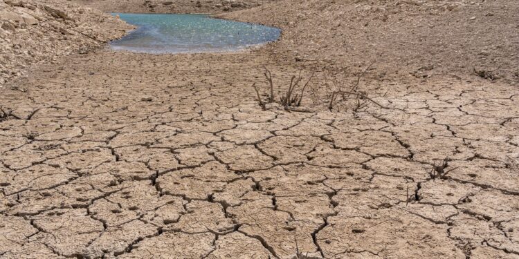 ‘Danger zone of extreme weather’: UN warns of supersized El Niño set to hit global economy and markets