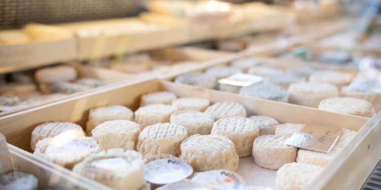 Why some of France’s most famous cheeses are in peril