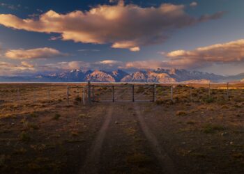 Tech companies look to Argentina’s windswept Patagonia to build massive data centers